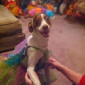 Meet your Posher, Brandy